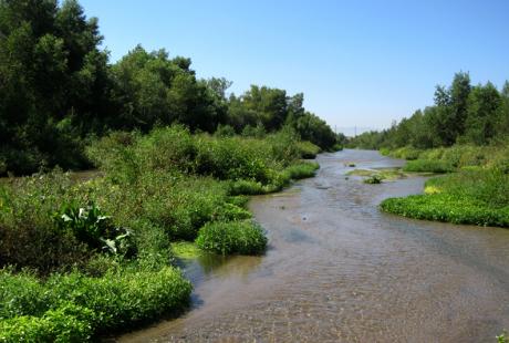 Santa Ana River (Courtesy of SAWPA)
