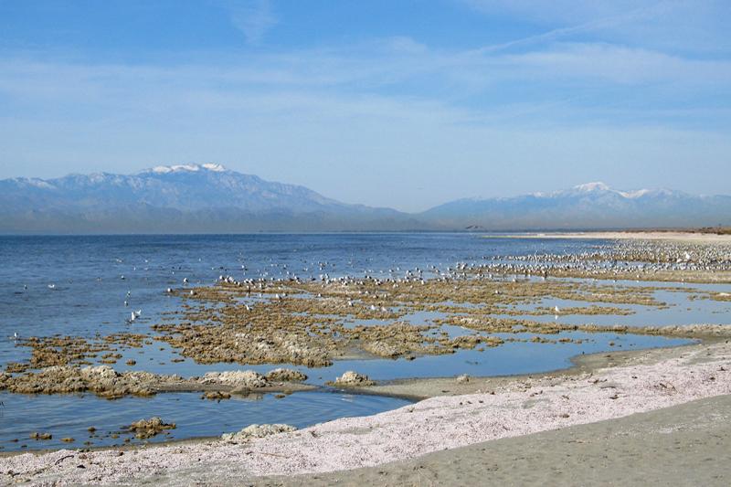 Salton Sea Water Education Foundation