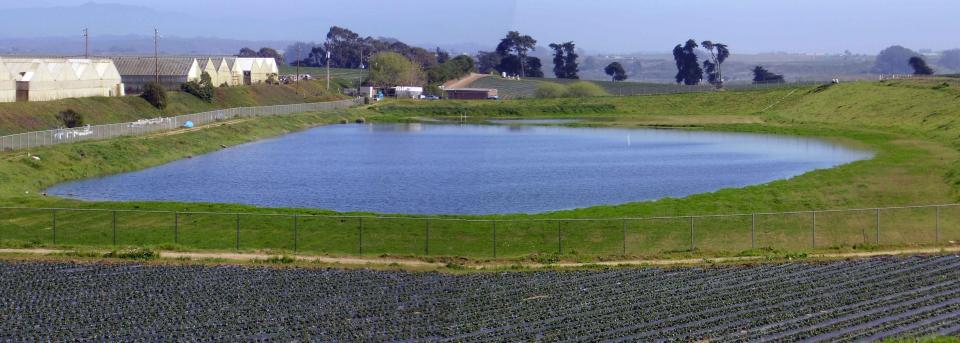 Groundwater infiltration in the Pajaro Valley