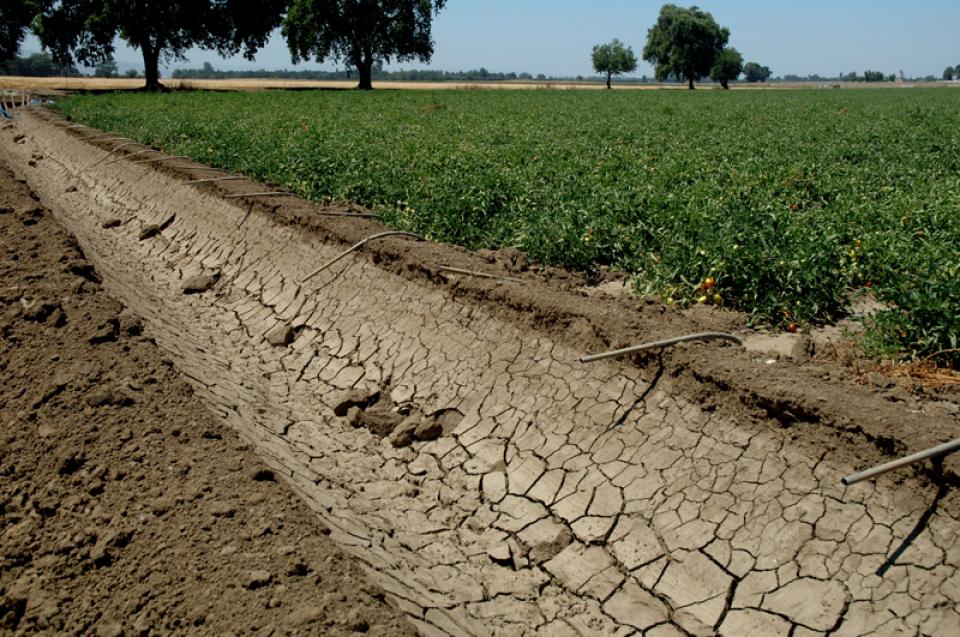 Drought Water Education Foundation