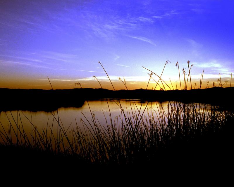 Delta marsh at sunset