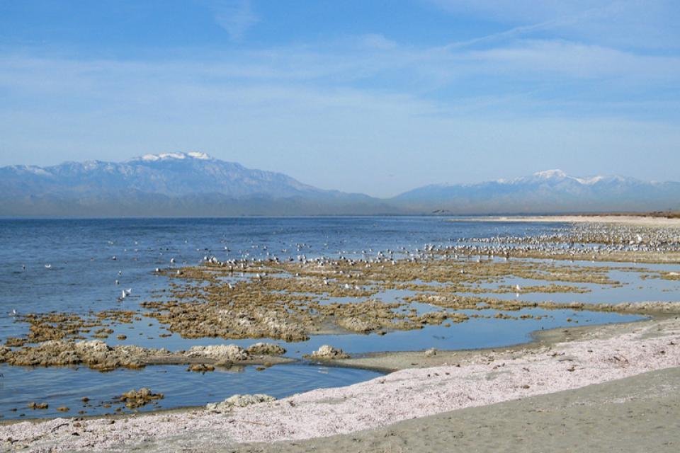 Salton Sea Water Education Foundation