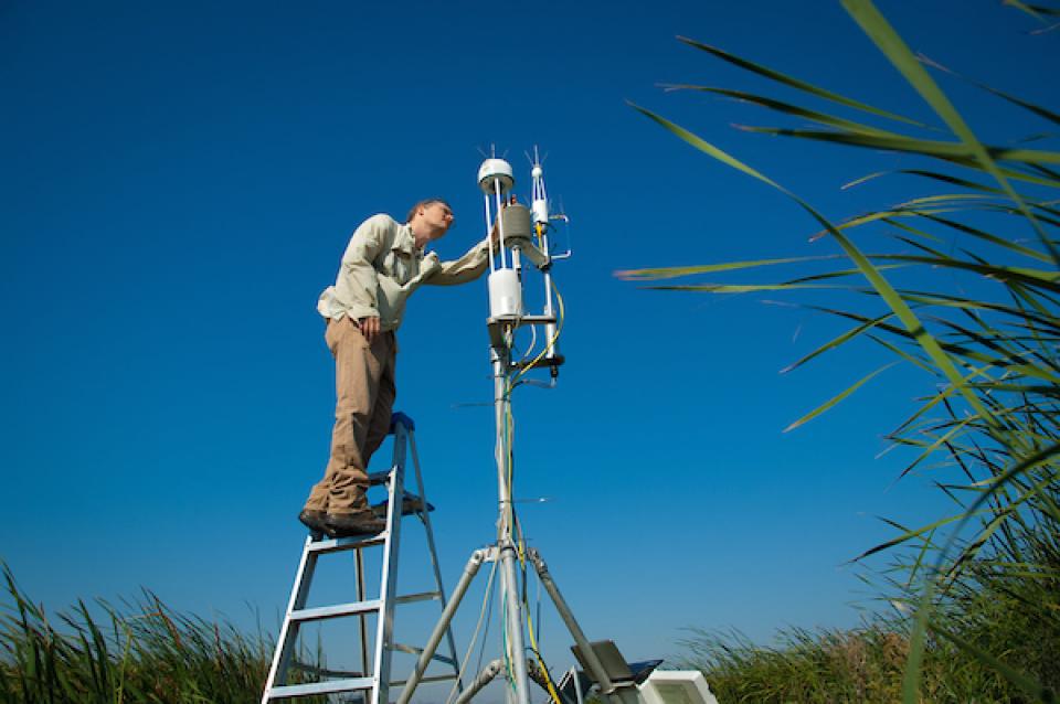 Joseph Verfaillie, development technician from U.C. Berkeley, checks on a greenhouse gas sensor at Sherman Island in the Sacramento-San Joaquin Delta. 