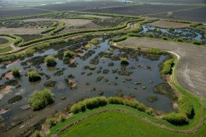 delta-aerial2-300x200.jpg