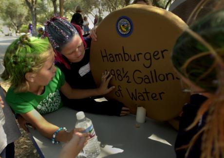 How much water does it take to make a hamburger?