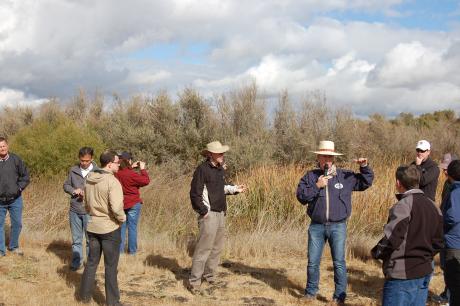 Merced Wildlife Refuge