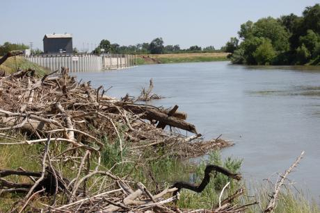 Tisdale Weir