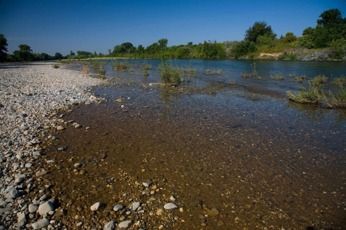 Вода в реке бывает