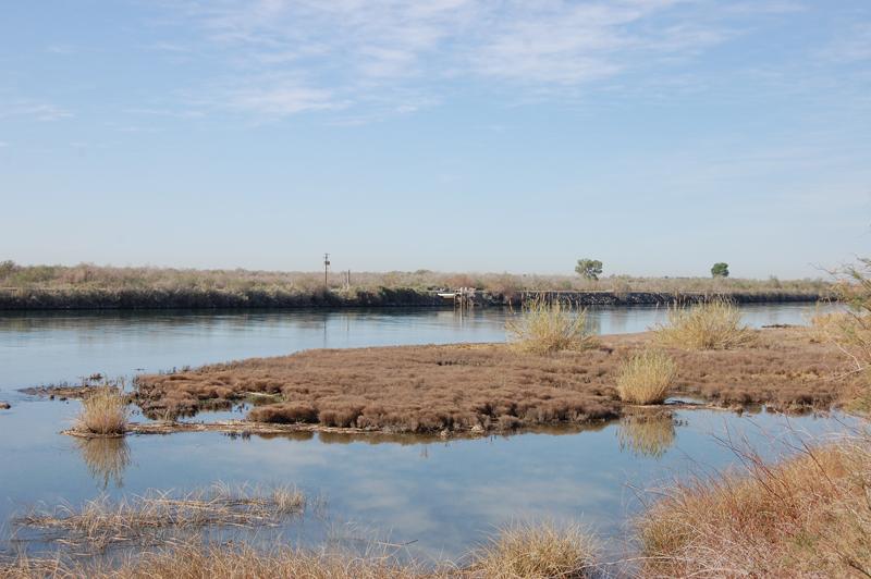 Lower Colorado River Multi Species Conservation Program Water