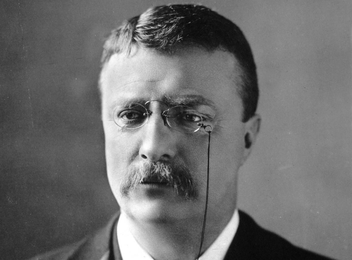 theodore roosevelt