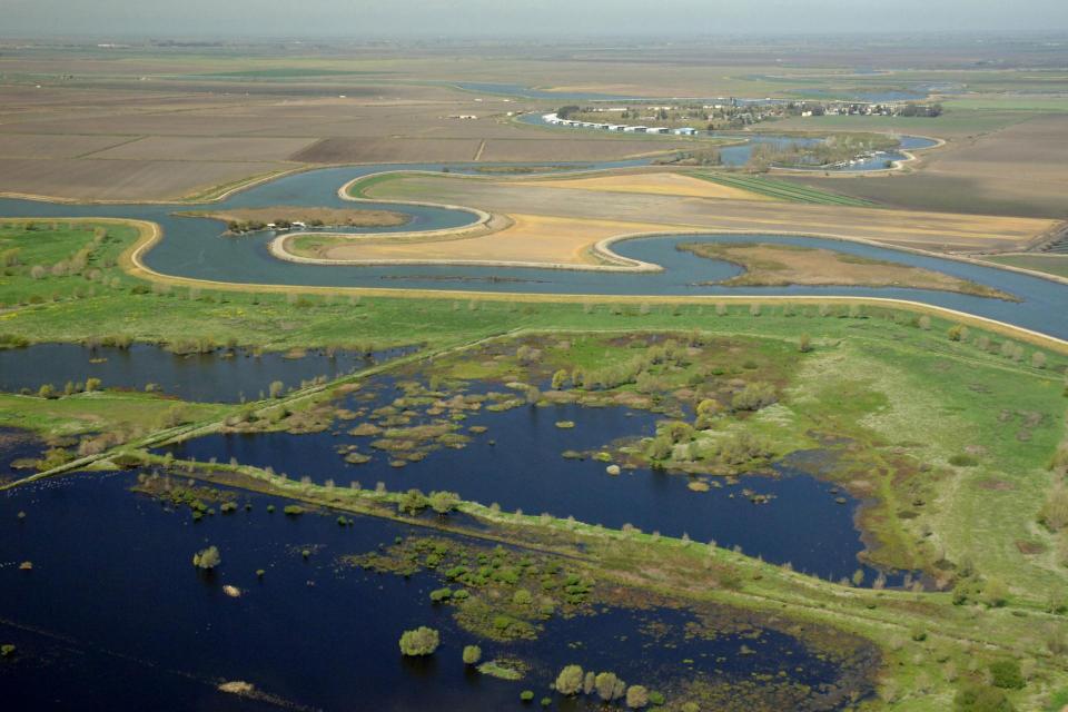 A wetlands area in the Sacramento-San Joaquin Delta.
