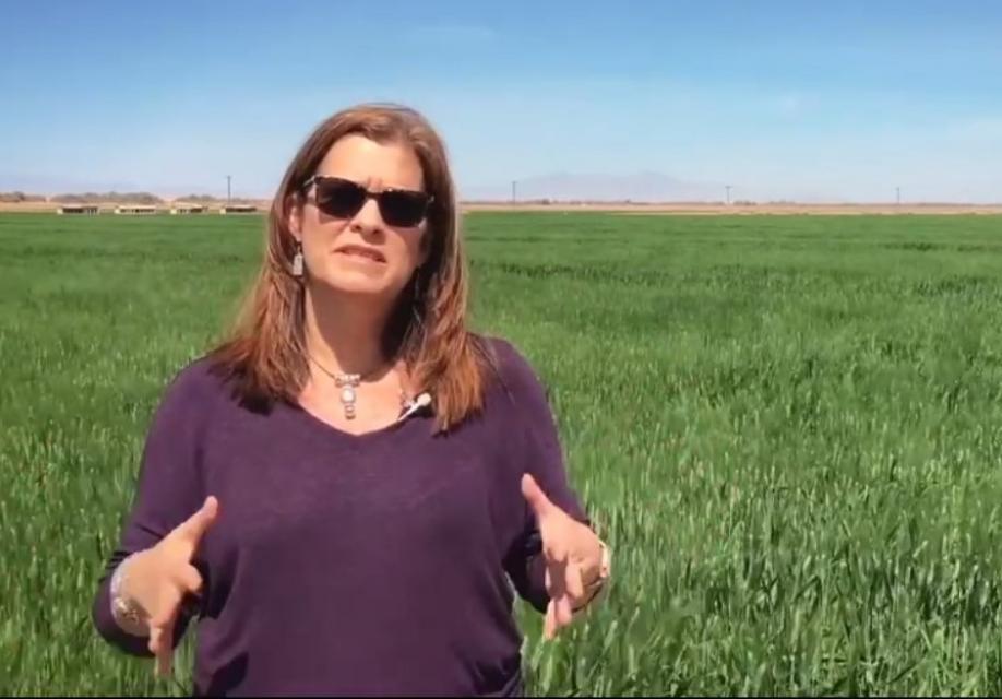 Tina Shields, Imperial Irrigation District water manager. She said her agency has implemented water efficiency improvements for farms, but does not support fallowing as a conservation measure.
