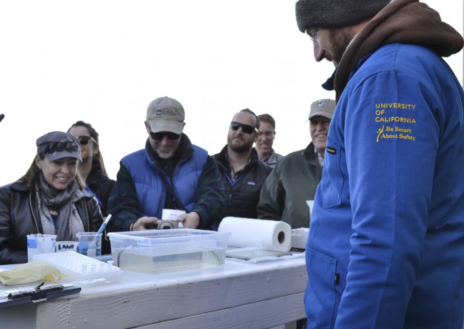 UC Davis Delta smelt facility