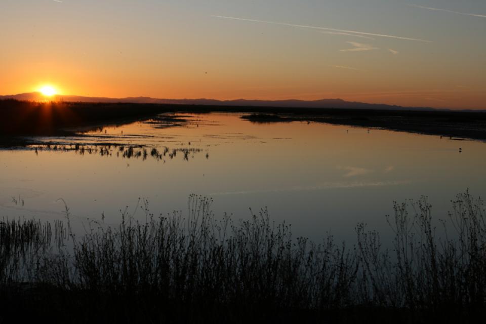 Tulare Lake Basin Water Education Foundation