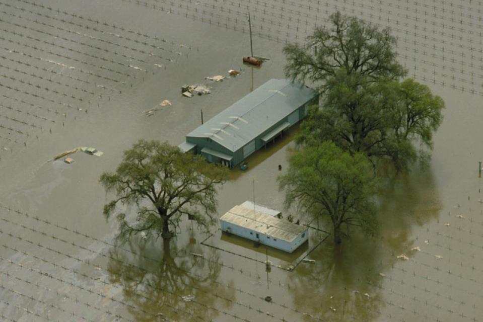 Flooded farm property