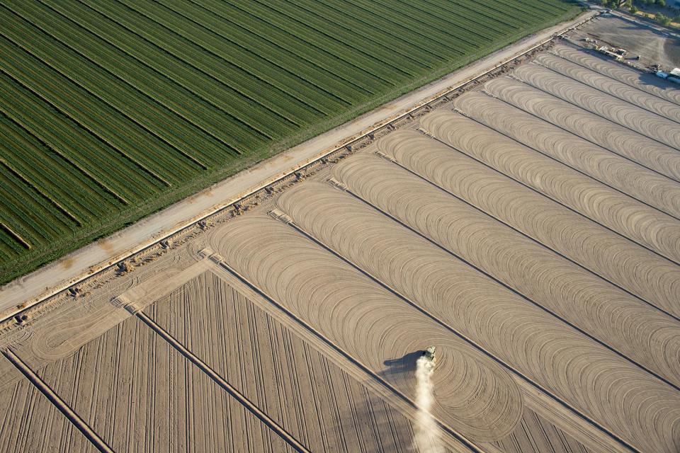 Agriculture flourishes in the Arizona desert, thanks in part to groundwater.