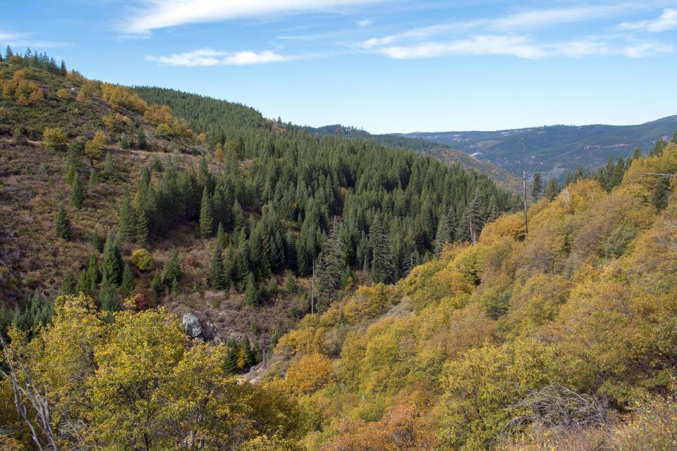 Aerial view of the American River watershed.