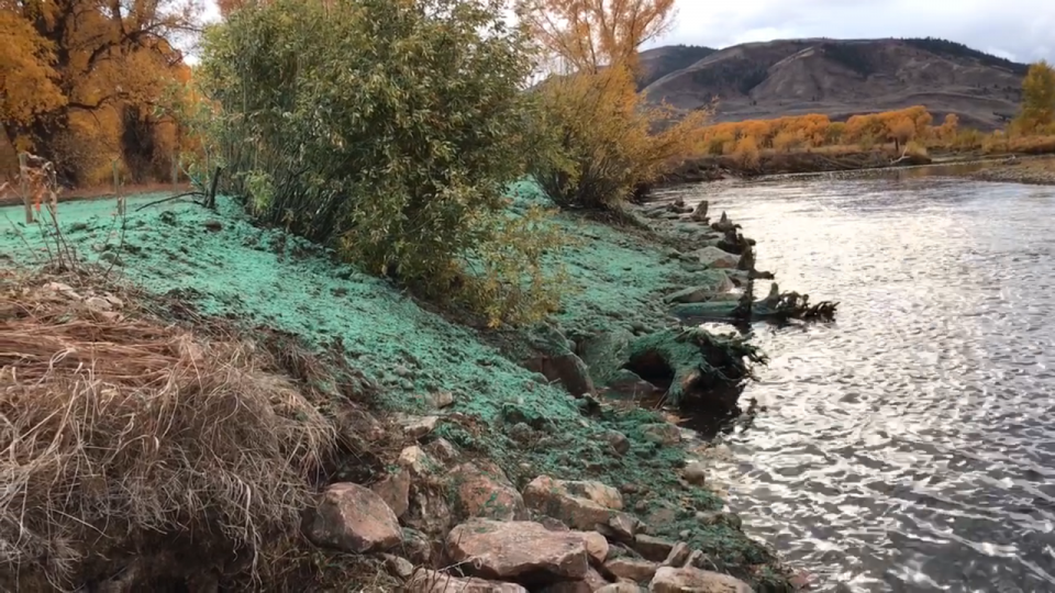 Funds provided by grants and landowners near Kremmling, Colorado, have facilitated improvements such as this bank stabilization project.