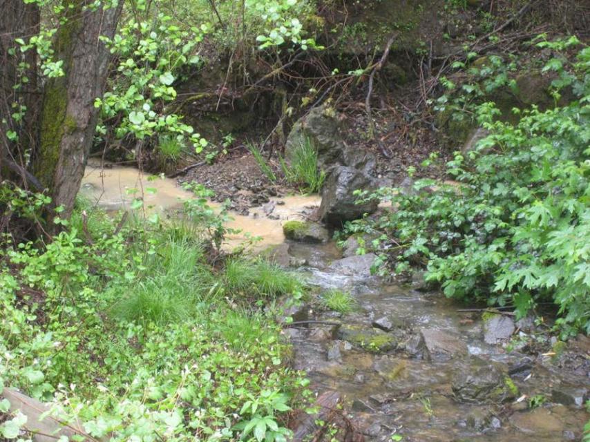 Sediment runoff from an illegal marijuana growing operation spills into a fish-bearing stream.