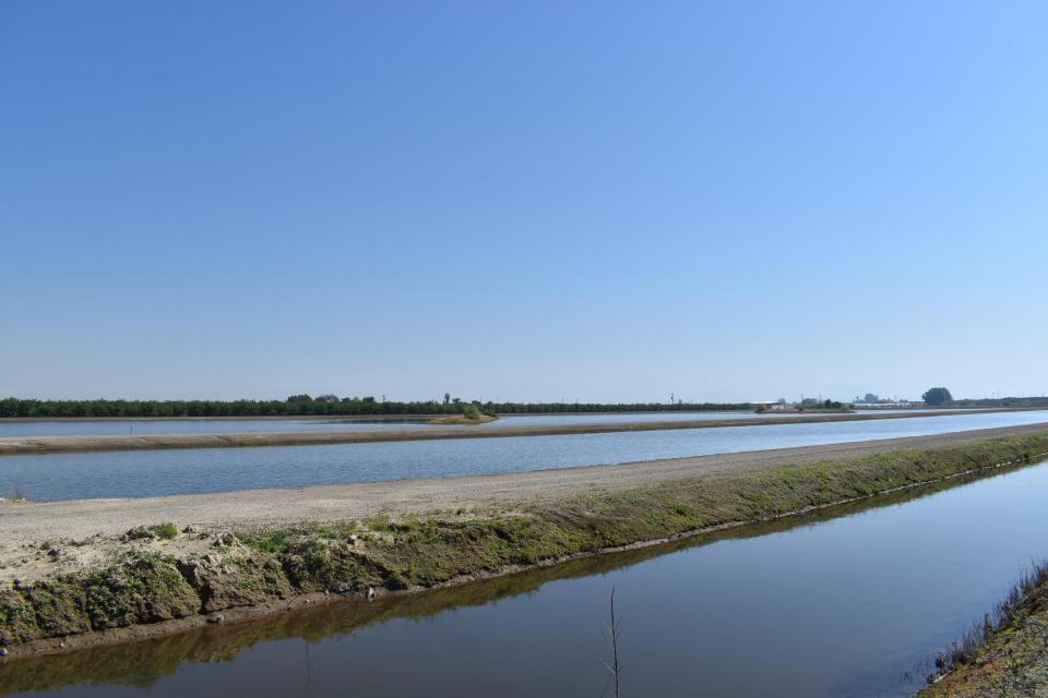 Recharge basin in Fresno County