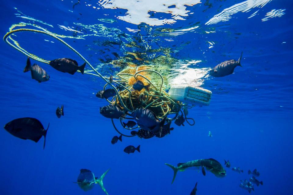 A tangled clump of rope and plastic jug is an example of the kinds of plastic trash that can end up in bay waters. 