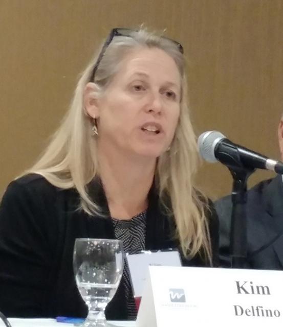 Kim Delfino, former California director for Defenders of Wildlife, said the governor's framework contains inadequate flows, habitat commitments and other protections for fish.