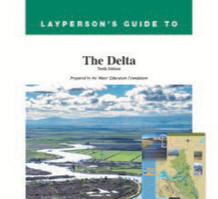 Layperson's Guide to the Delta