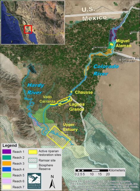 A map of restoration sites along the Colorado River Delta.