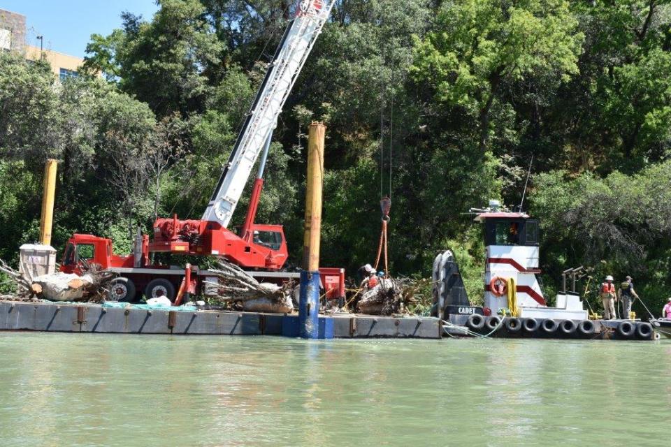 A barge and other river craft were needed to place the refuges into the Sacramento River in Redding. 