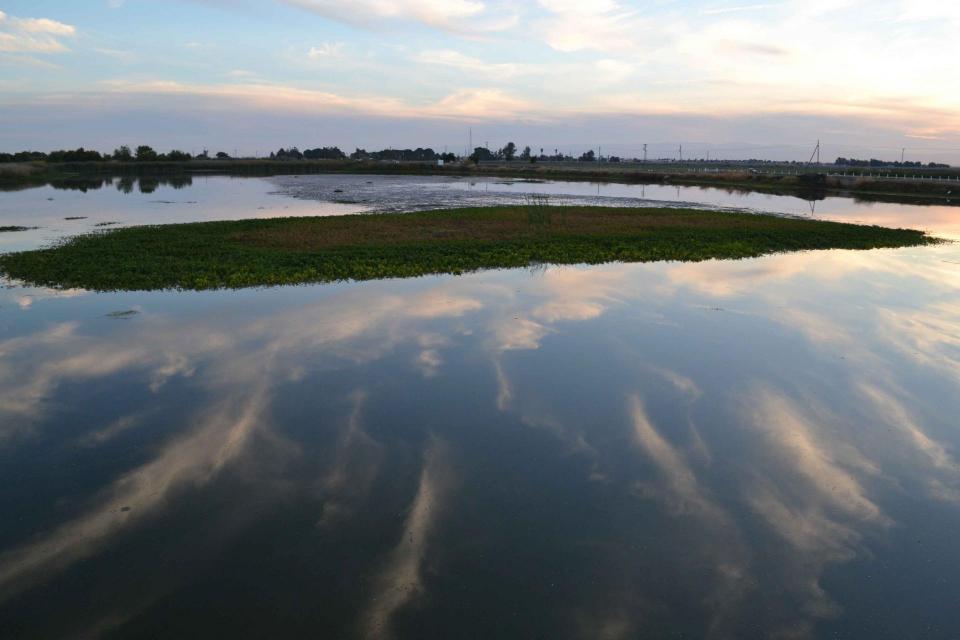 Mendota Pool, where the San Joaquin  and Kings rivers meet in the San Joaquin Valley, is a stop on the San Joaquin River Restoration Tour.