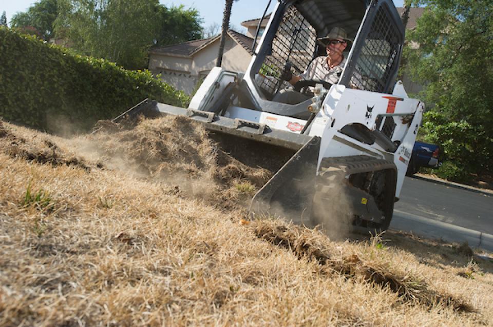 A couple in Roseville, east of Sacramento, took advantage of Roseville's Cash-for-Grass rebate program that pays homeowners to replace lawn with a landscape of drought tolerant plants, mulch, ornamental rocks and dry streambed. 