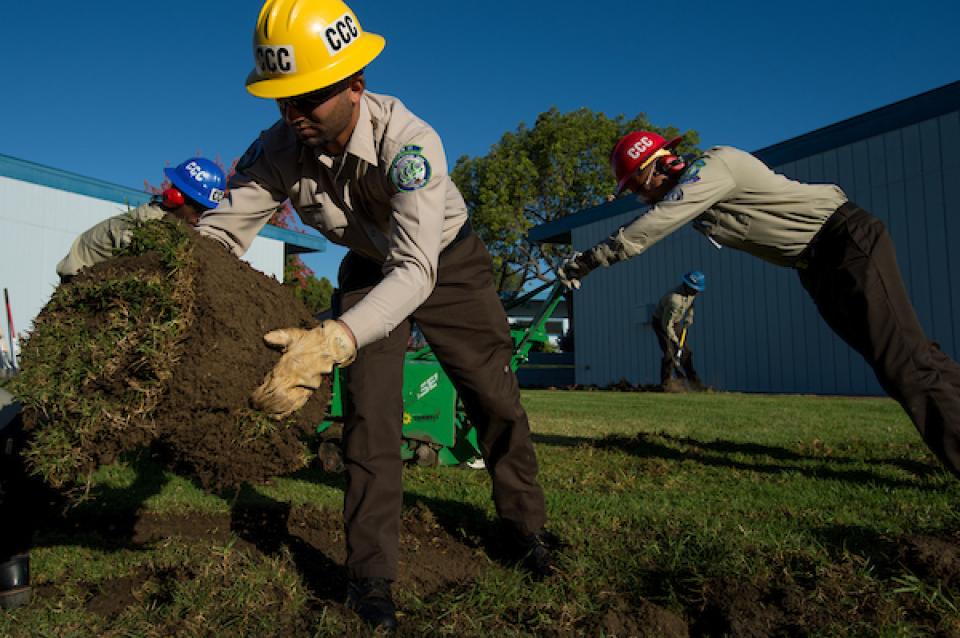 California Conservation Corps work on transforming lawn areas into drought tolerant landscaping at schools in Corona, Calif. 