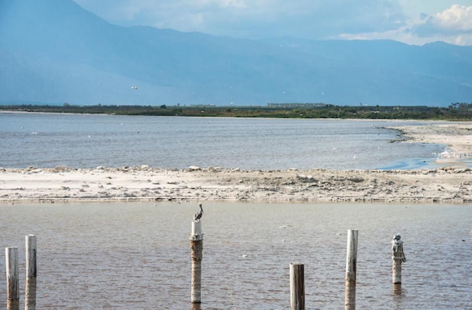 Salton Sea