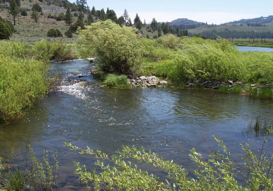 een zijrivier van de Feather River.