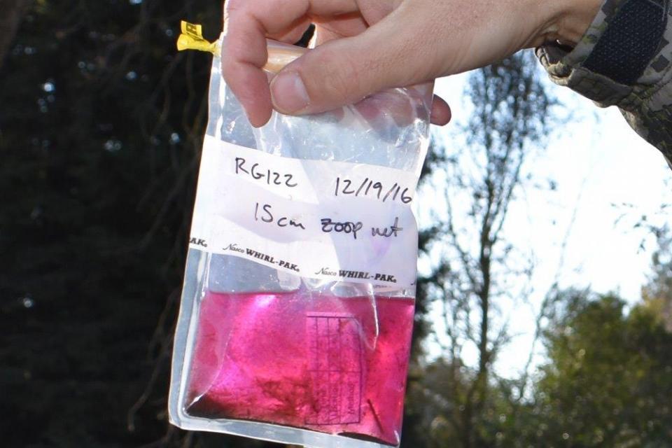 A sample  of the microorganisms scooped from a rice field as part of the River Garden Farms  experiment. 