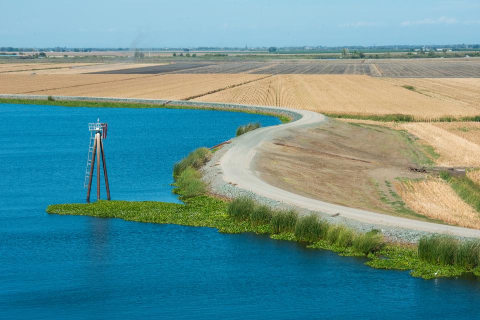 The Delta stands at a pivotal point in its history and the push for change is strong, aided by the predictions about the effects of climate change, sea level rise and subsidence.