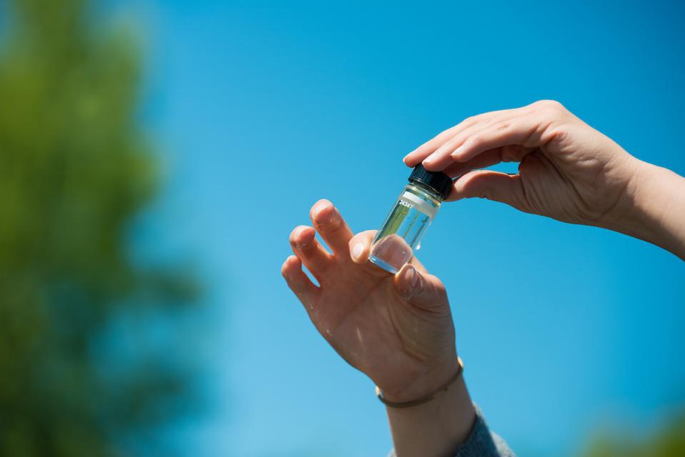 Research is continuing to examine the relationships between turbidity, habitat and Delta smelt movement.