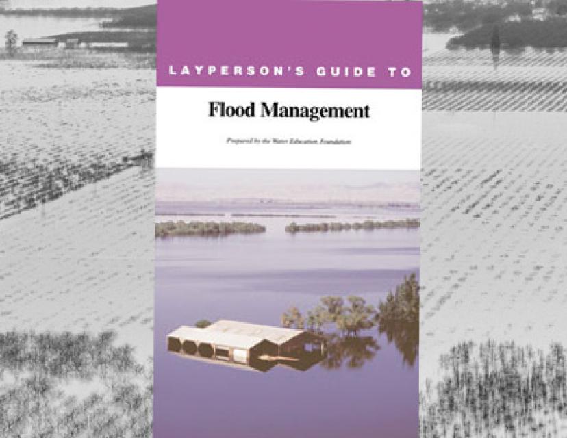 Layperson's Guide to Flood Management