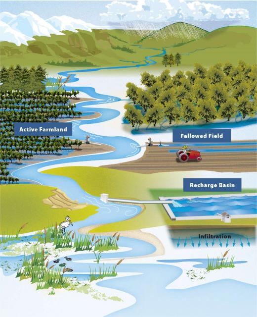 This schematic illustrates different ways managed aquifer recharge can be accomplished.  
