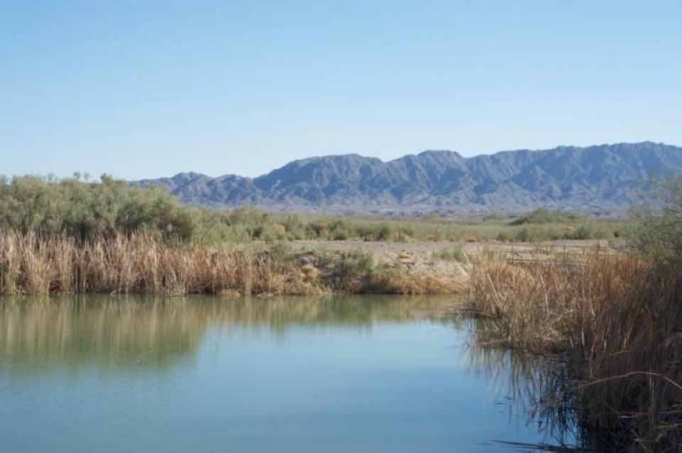 Colorado River Delta (in Mexico) - Water Education Foundation