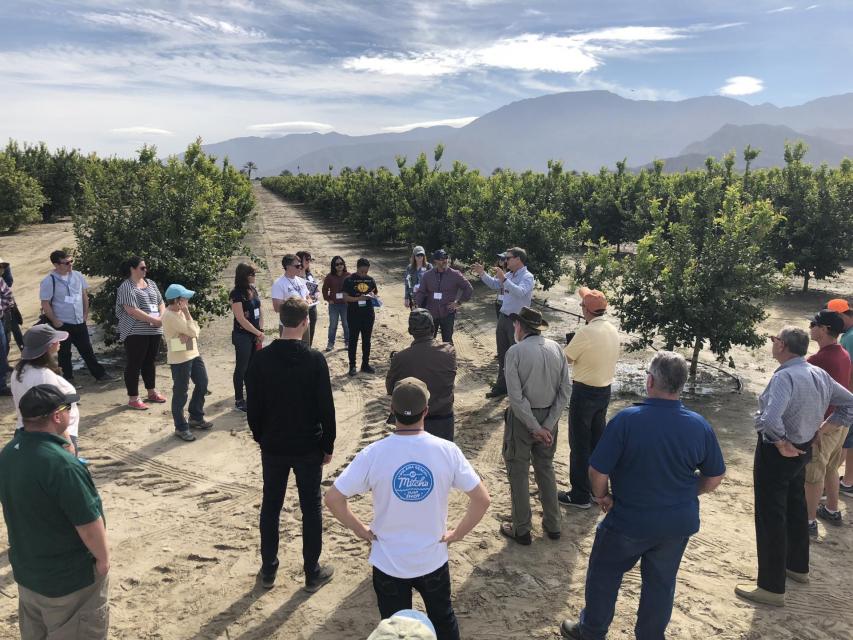 Tour participants gathered in an orchard in the Coachella Valley listening to a speaker