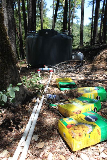 An abandoned marijuana growing site in Shasta County, with an illegal water diversion and poor chemical storage practices.