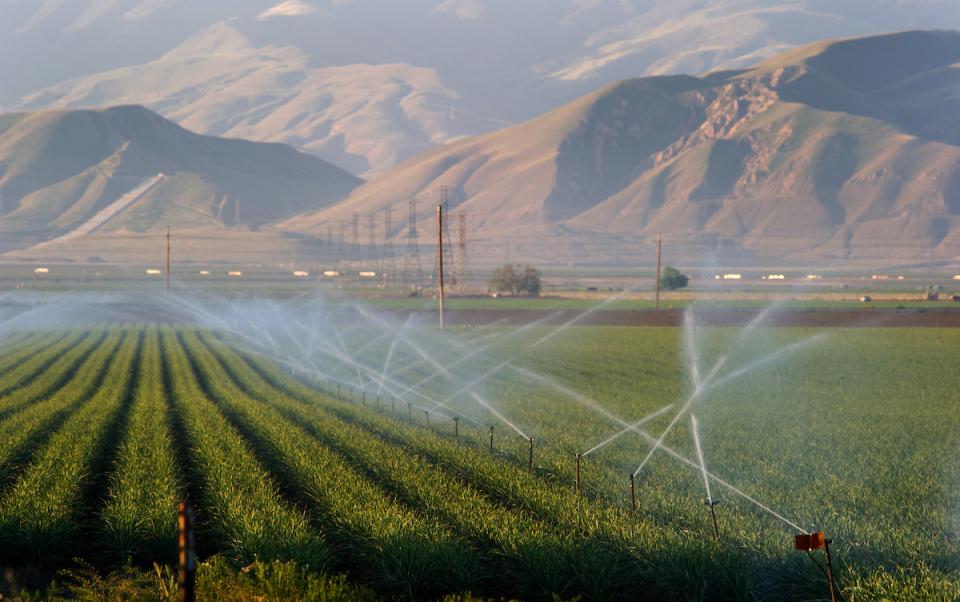 Water sprinklers irrigate a field in the southern region of the San Joaquin Valley in Kern County.