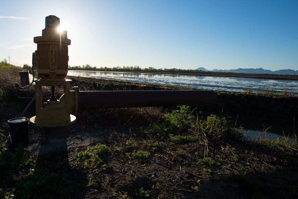 A groundwater monitoring well in Colusa County, north of Sacramento. 