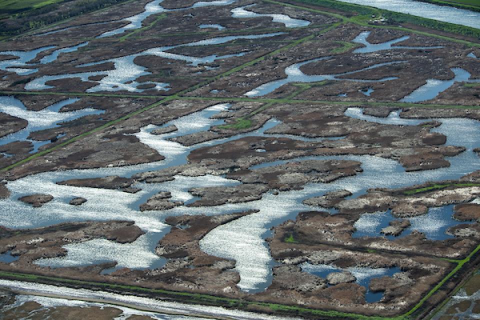 Aerial view of wetlands on Sherman Island in part of the Sacramento-San Joaquin River Delta in Sacramento County. 