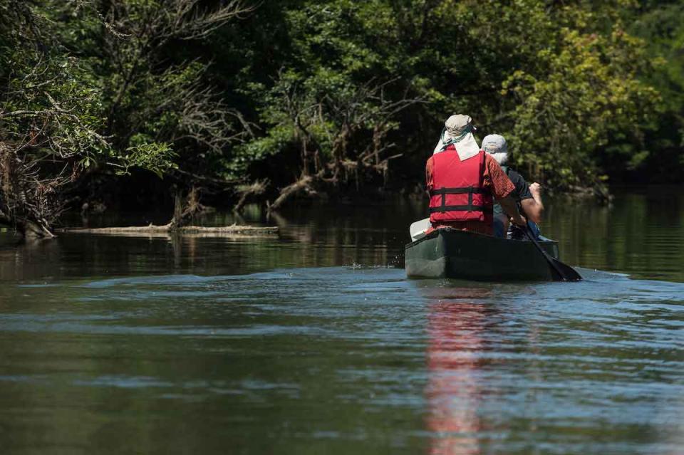 Teachers explore local ecology, floodplain and water projects during a Floodplain Ecology Institute canoeing activity at the Cosumnes River Preserve in Galt. 