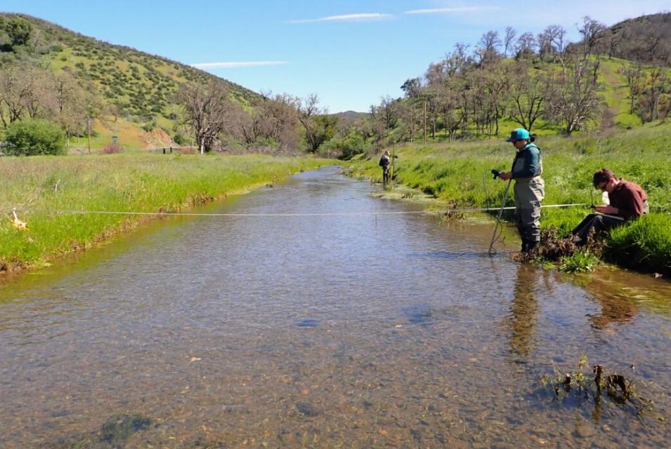 Manning Creek, in Northern California's Clear Lake watershed.