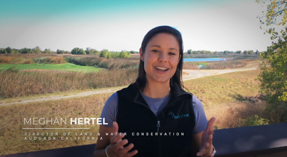 Meghan Hertel with Audubon California at the Sacramento National Wildlife Refuge