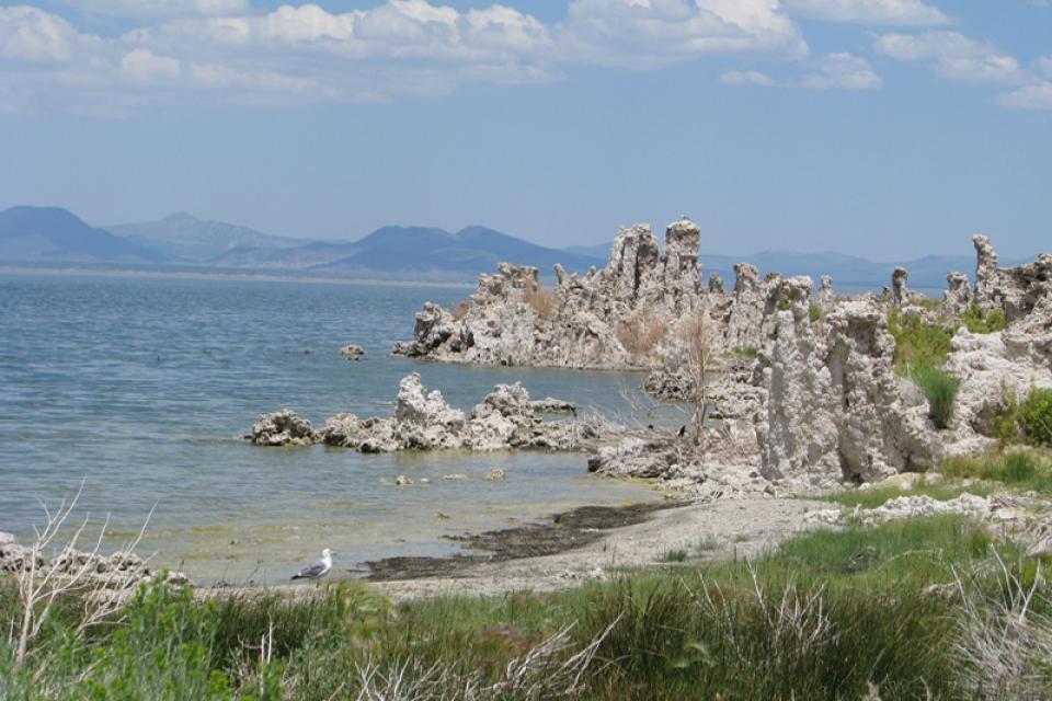 Mono Lake, on the east side of the Sierra Nevada. 