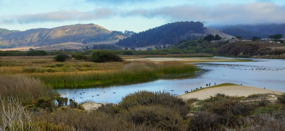 The lower Carmel River near Monterey Bay.